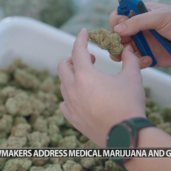 Kentucky lawmakers urge Congress to amend law allowing medical marijuana patients to own guns